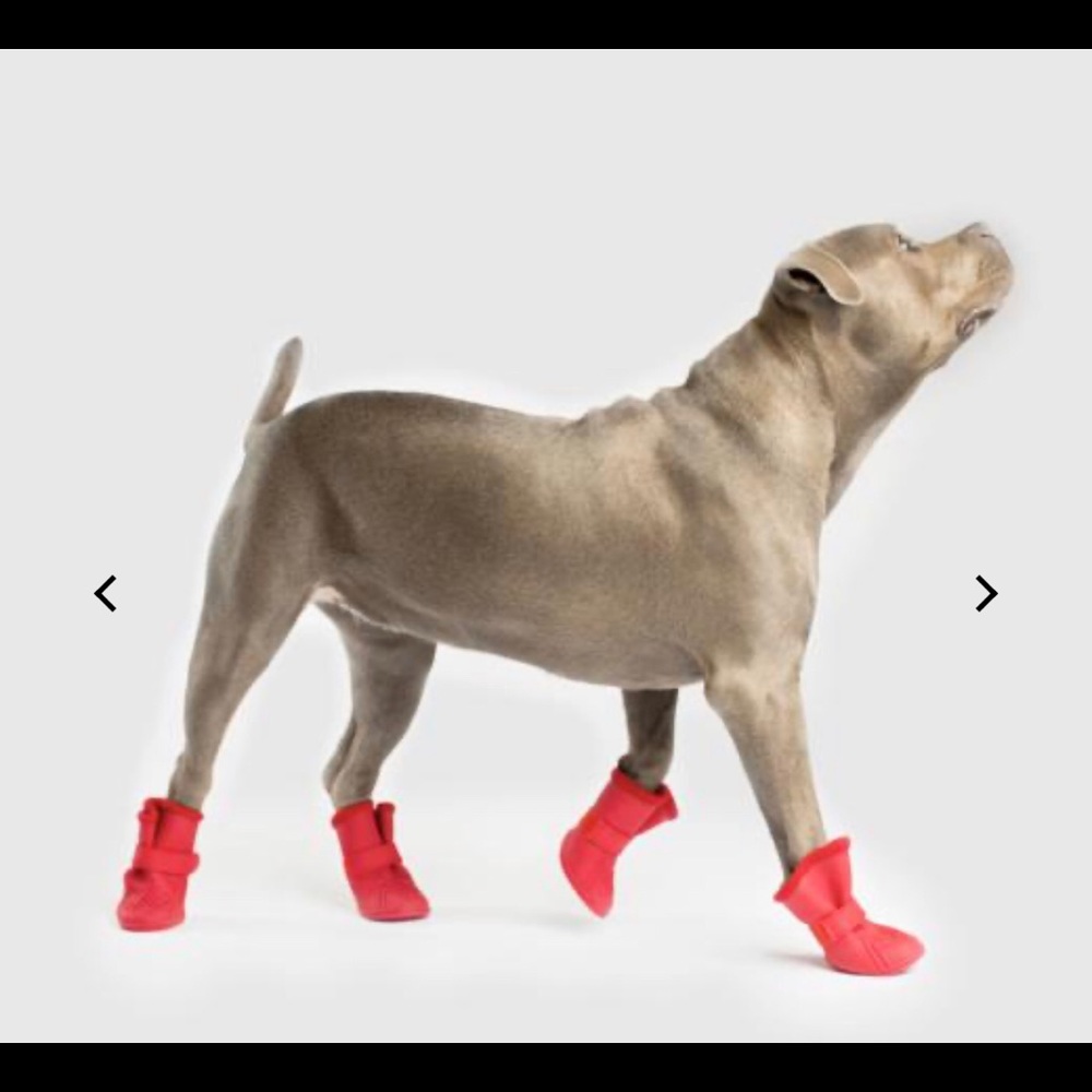 Canada Pooch Dog Boots + FREE Ugg Sherpa booties
